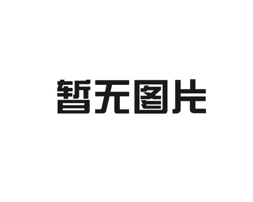 質(zhì)量信用報(bào)告2024